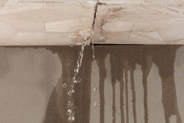 Professional Water Damage Inspection technician working in Bogota, TN